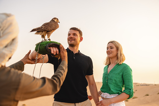 Caucasian male handling a falcon assisted by a professional falconer in Dubai.