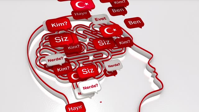 Turkish Language Education and the Human Brain