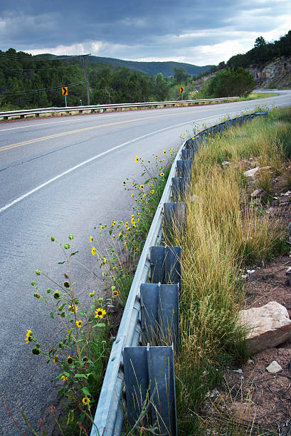 istock wildflower road sunflower landscape guard rail 176063487