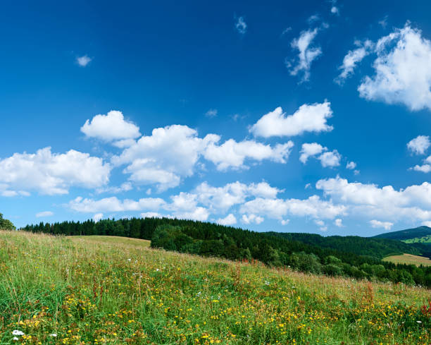 istock Panoramic spring landscape 121MPix XXXXL size - highlands, blue sky 176063516