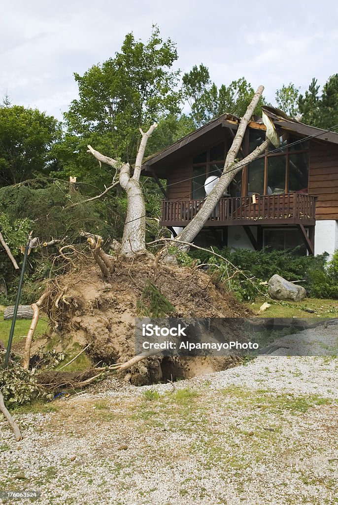 Торнадо после & уничтожения силами природы-II - Стоковые фото Дерево роялти-фри
