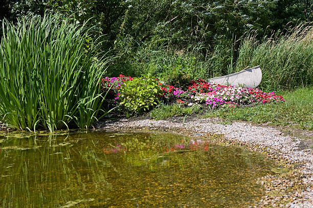 Small pond as part of landscaping with aquatic plants and water lilies surrounded by lush vegetation