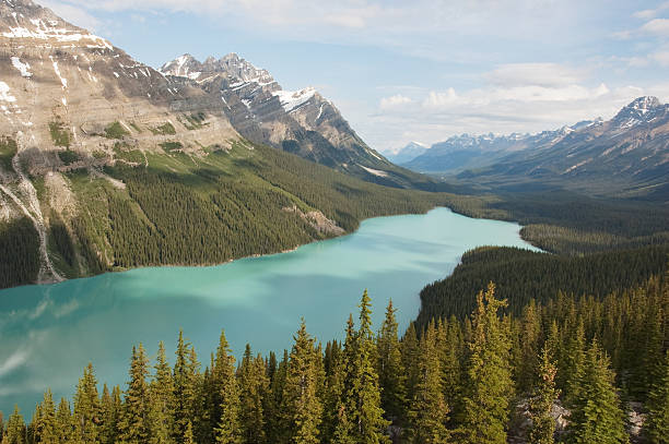Peyto Lake in the Canadian Rockies stock photo