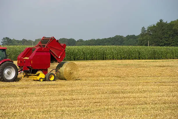 A large agricultural baler releases a round bale of wheat straw.