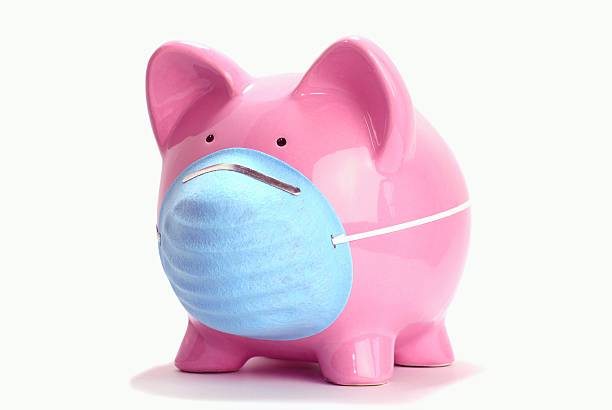 Swine Flu Pig Concept with Mask stock photo