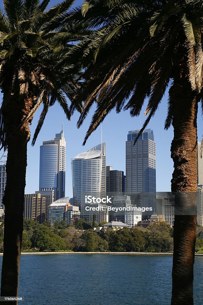 Sydney towers ist umgeben von Palmen - Lizenzfrei Australien Stock-Foto