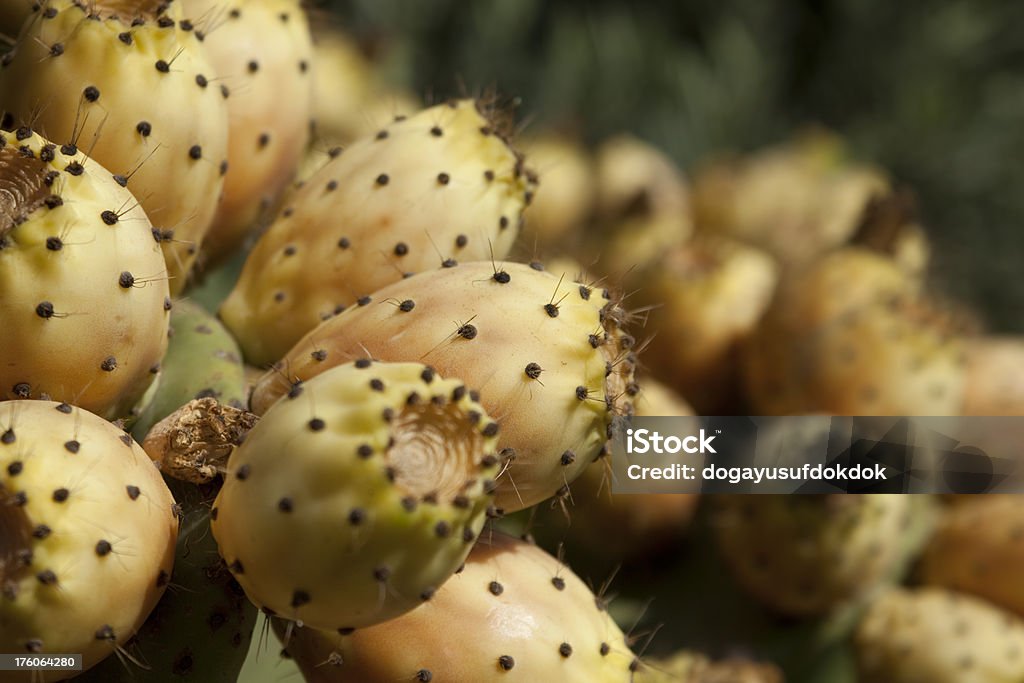 De frutos - Royalty-free Antioxidante Foto de stock