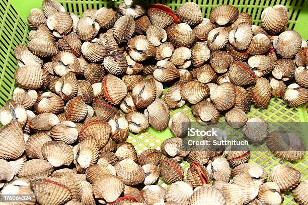 Vongole - Fotografie stock e altre immagini di Ambientazione esterna - Ambientazione esterna, Cardio, Cibo