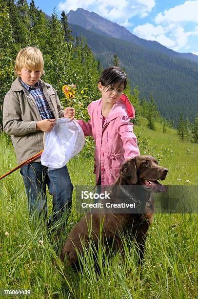 Freunde Im Freien Stockfoto und mehr Bilder von Baum - Baum, Berg, Entspannung