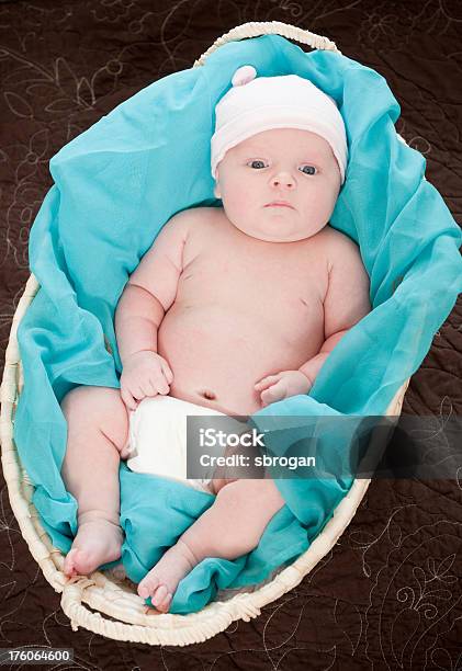 Photo libre de droit de Bébé Dans Un Panier banque d'images et plus d'images libres de droit de 0-1 mois - 0-1 mois, Bleu, Bébé