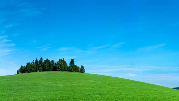 istock Panoramic spring landscape 86MPix XXXXL size - meadow, blue sky 176064623