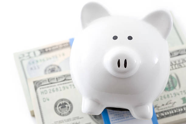 istock White Piggy Bank on Top Stack of U.S. Currency 176065110