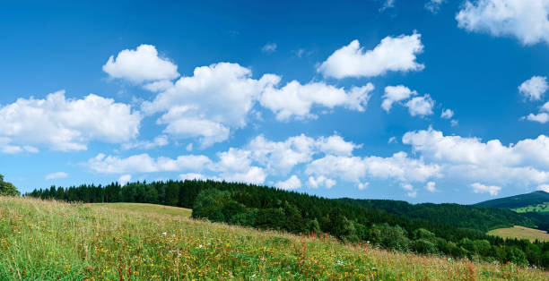 istock Panoramic spring landscape 78MPix XXXXL size - meadow, blue sky 176065181