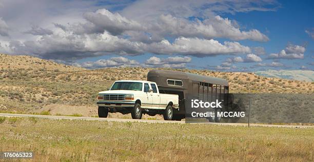 A Cavallo Viaggio - Fotografie stock e altre immagini di Rimorchio trasporto cavalli - Rimorchio trasporto cavalli, Furgone pickup, Rimorchio