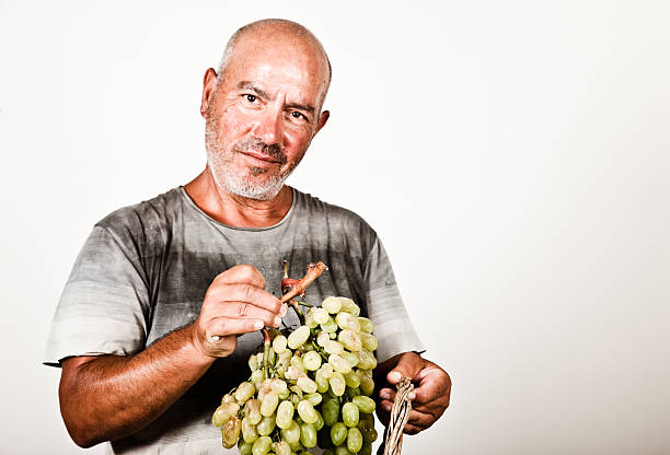 istock Man holding a bunch of grapes 176065541
