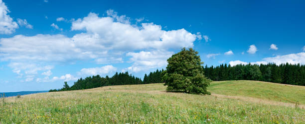 istock Panoramic spring landscape 66MPix XXXXL size - highlands, blue sky 176065608