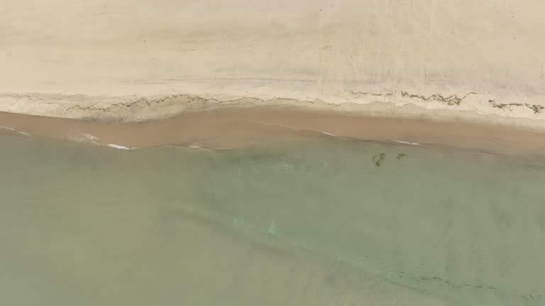 Tracking along the coastline of Lake Michigan in Autumn.