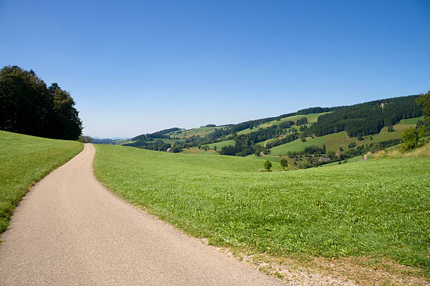 작은가 국가 road - non urban scene landscaped clear sky germany 뉴스 사진 이미지