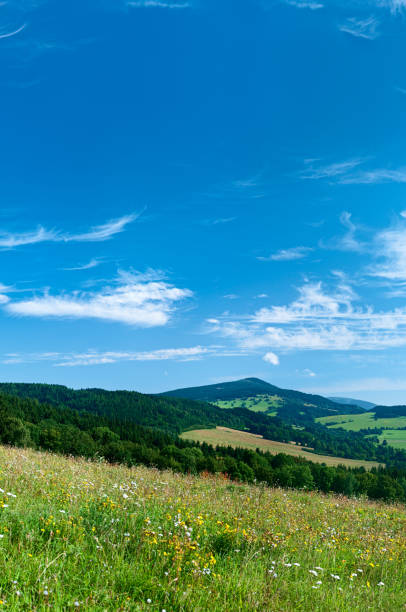 istock Panoramic spring landscape 59MPix XXXXL size - meadow, blue sky 176066875