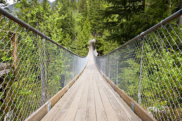 istock Suspension bridge walkway in a forest 176066877