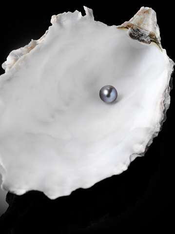 Freshwater pearl in a oyster shell. Copy space