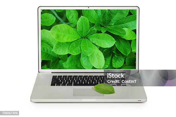 Computer Privacy Leaf Modern Laptop With Magnolia Tree Leaf Front View Stock Photo - Download ...