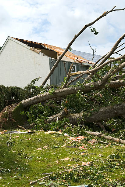 istock Tornado aftermath & destruction forces of nature - IV 176067503