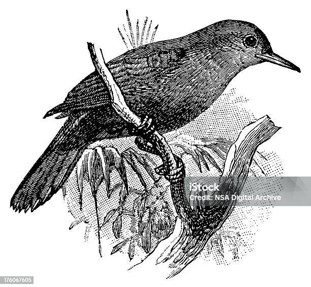 Ilustración de Pájaro Ilustraciones Leaftosserantigüedades y más Vectores Libres de Derechos de Ala de animal - Ala de animal, Animal, Anticuado