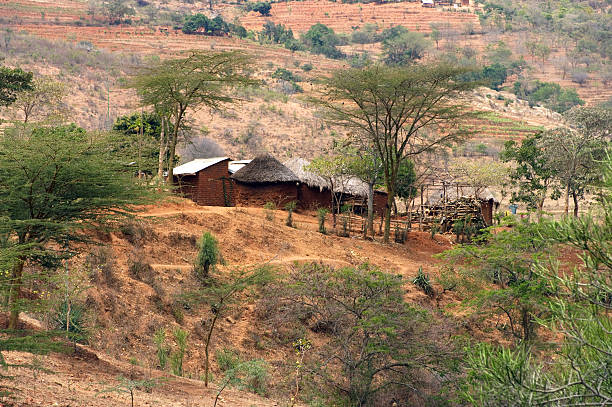 istock Rural African Farm 176067786
