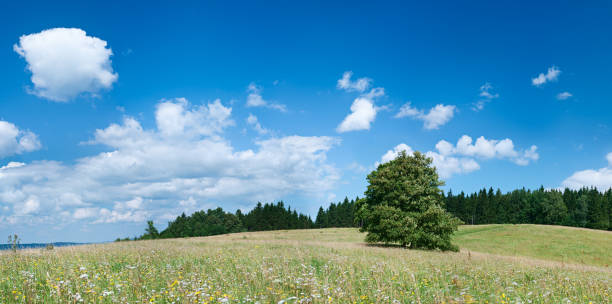 istock Panoramic spring landscape 72MPix XXXXL size - highlands, blue sky 176068024