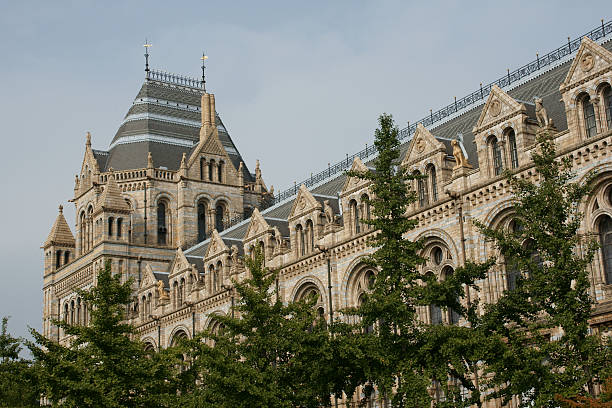 istock Natural History Museum, London 176068879