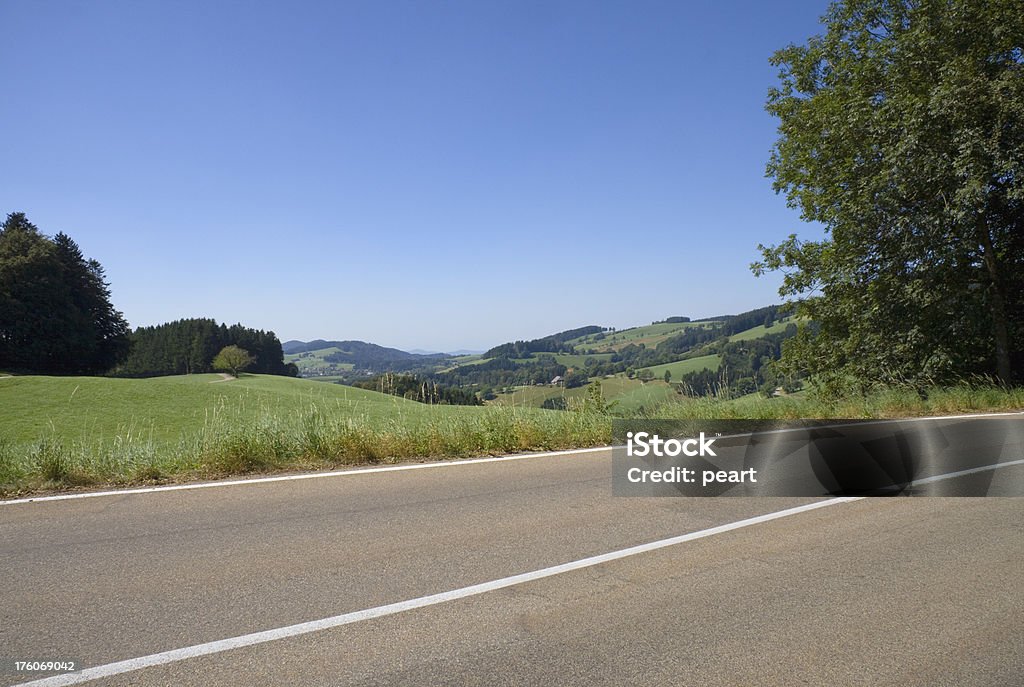 Selva negra panorama road - Foto de stock de Aire libre libre de derechos