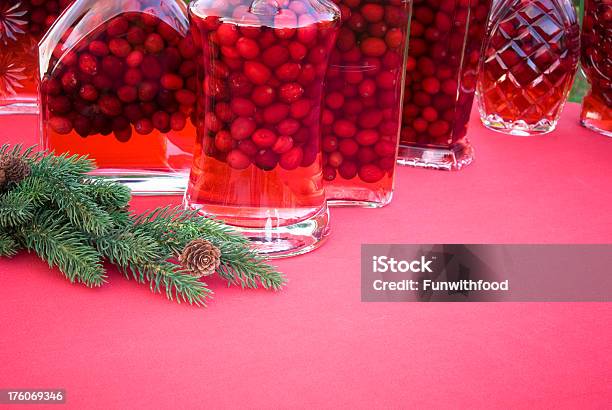 크리스마스 선물로 음료입니다 크렌베리 보드카 보드카에 대한 스톡 사진 및 기타 이미지 - 보드카, 크리스마스, 0명