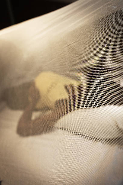 istock Close view of mosquito net for surrounding beds 176069452