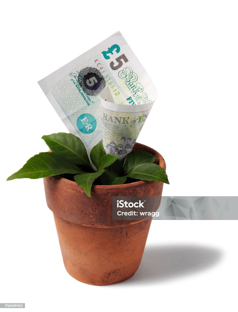 Growing British Five Pound Note in a Plant Pot "British five pound note growing in a terracotta plant pot with  leaves, Isolated on whiteClick on the link below to see more of my business images." British Pound Note Stock Photo