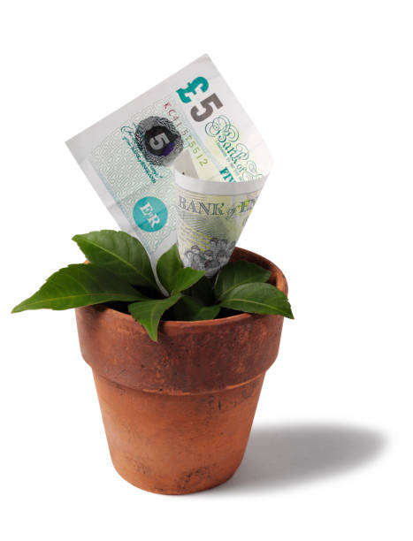Pot Note 30+ Planting Pound Notes Stock Photos, Pictures & Royalty-Free Images ...
