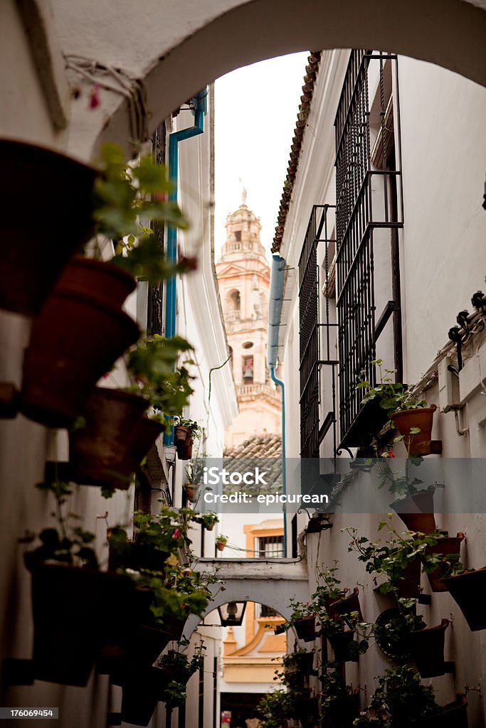 Blanqueado alley en Córdoba, España - Foto de stock de Córdoba - España libre de derechos