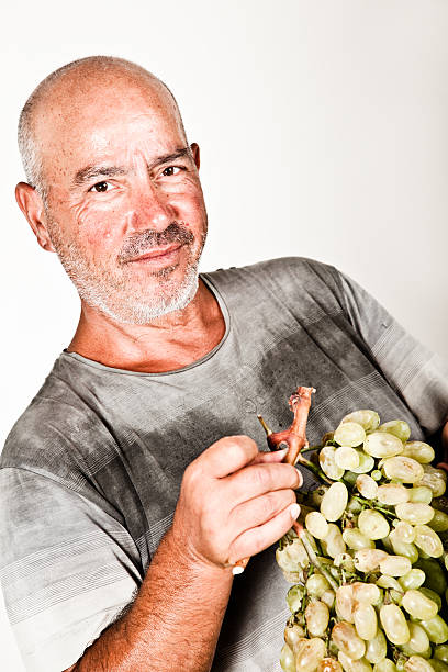 istock Man holding a bunch of grapes 176069495