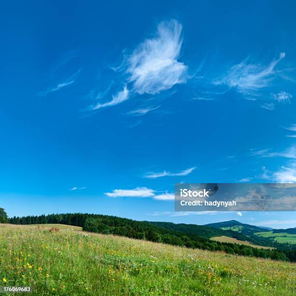 Photo libre de droit de Square Printemps Paysage 100mpix Xxxxl La Prairie Ciel Bleu banque d'images et plus d'images libres de droit de Arbre