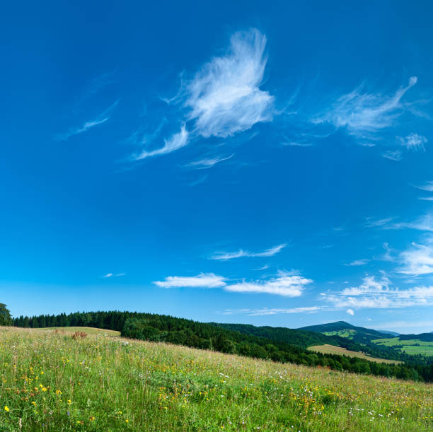 istock Square spring landscape 100MPix XXXXL - meadow, blue sky 176069683
