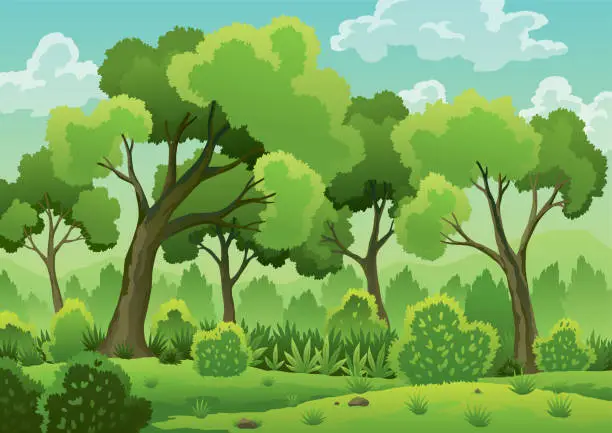 Vector illustration of Forest landscape with deciduous trees, green grass, bushes and sunlight spots on ground. Scenery hand draw view, summer or spring wood. Cartoon forest daytime, vector illustration