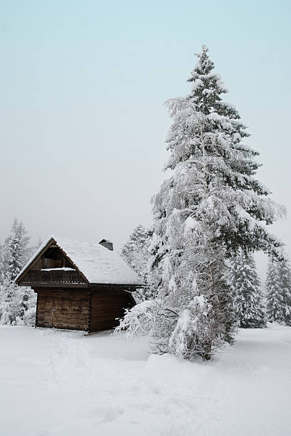 istock Winter Shack in Snowy Landscape 176069779