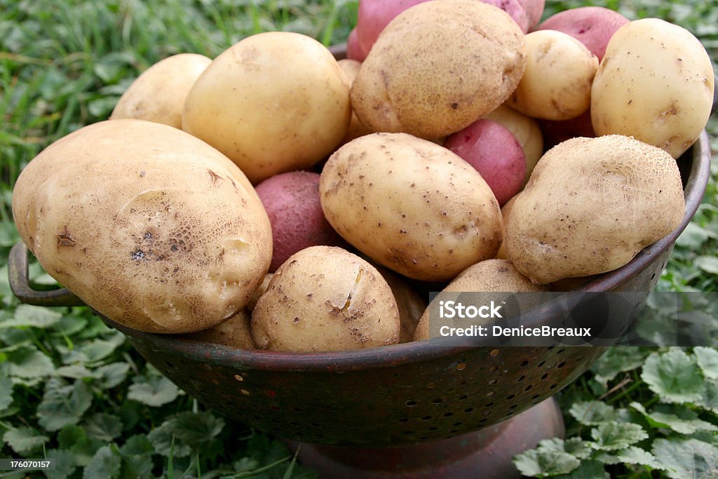 Organic patate - Foto stock royalty-free di Alimentazione sana