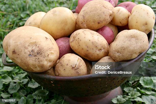 Organic Patate - Fotografie stock e altre immagini di Alimentazione sana - Alimentazione sana, Cibi e bevande, Cibo biologico