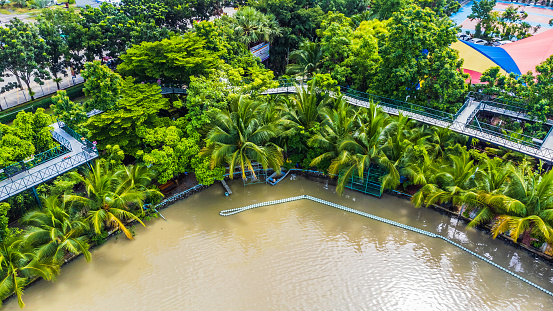 Aerial view of the public garden with a small lake.Bangkok, Thailand