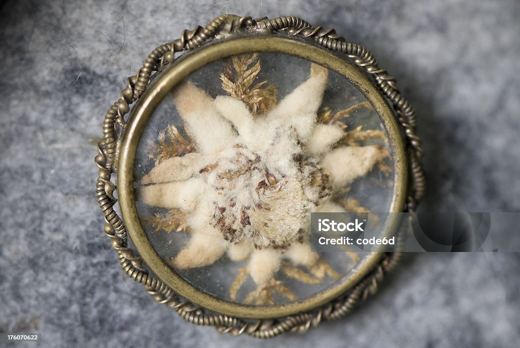 Edelweiss broche, primer plano, hunter's accesorio - Foto de stock de Broche libre de derechos