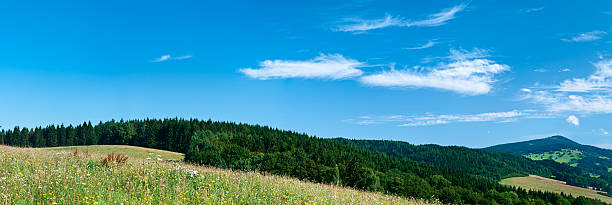 istock Panoramic spring landscape 46MPix XXXXL size - meadow, blue sky 176070952