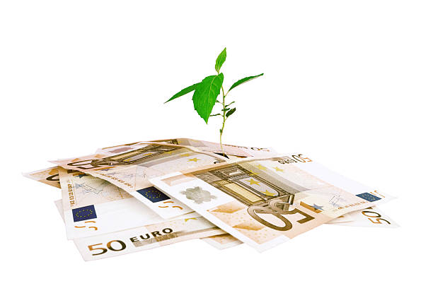 istock Isolated Plant and Money 176071201