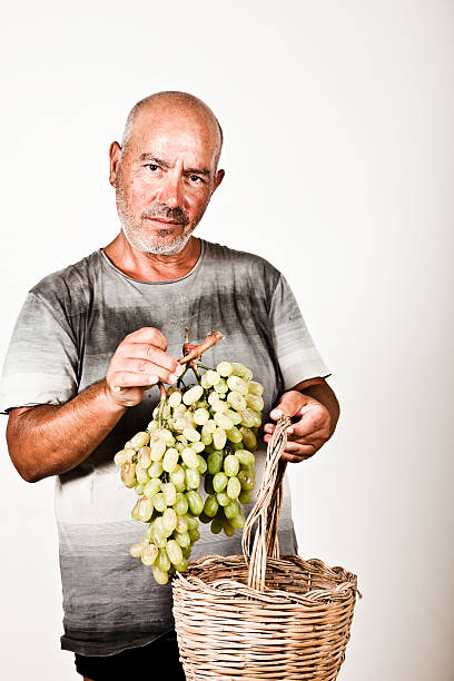 istock Man holding a bunch of grapes 176071581