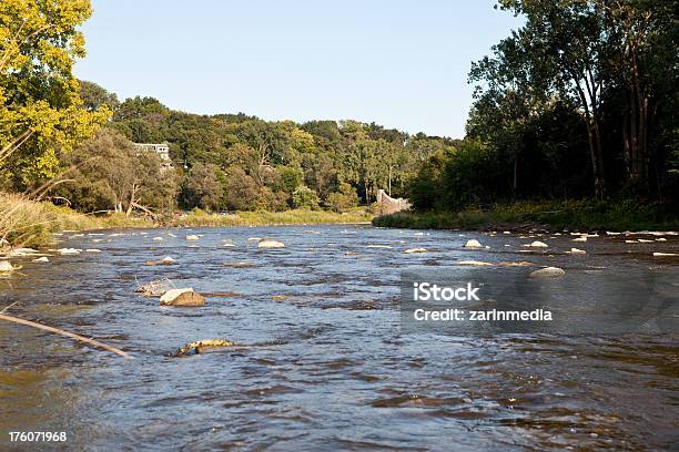 Foto de Fluindo Rio Grande e mais fotos de stock de Nível da superfície - Nível da superfície, Água Corrente, Alga